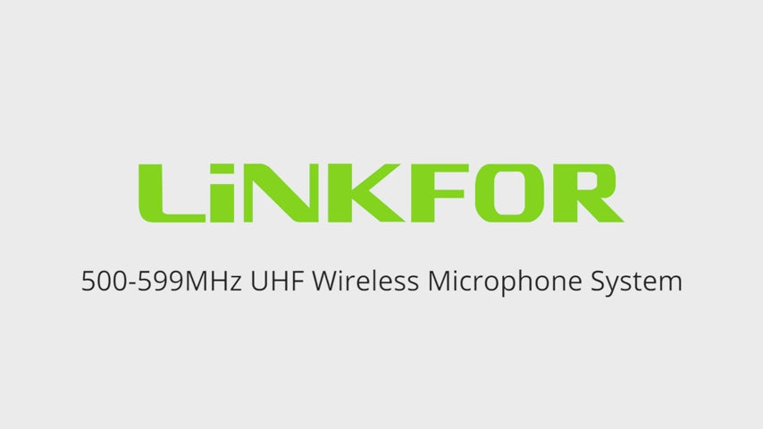 LiNKFOR UHF Wireless Microphone System with Power Adapter